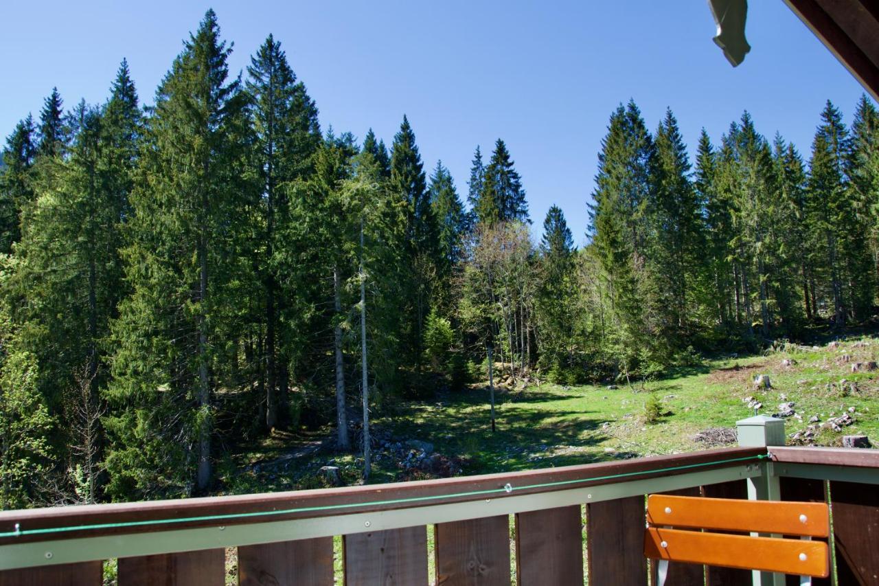 Spitzing Lodge Ferienwohnungen - Wanderparadies In Den Bergen シュピッツィングゼー エクステリア 写真